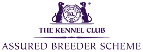 Kennel Club Assured Breeders Scheme